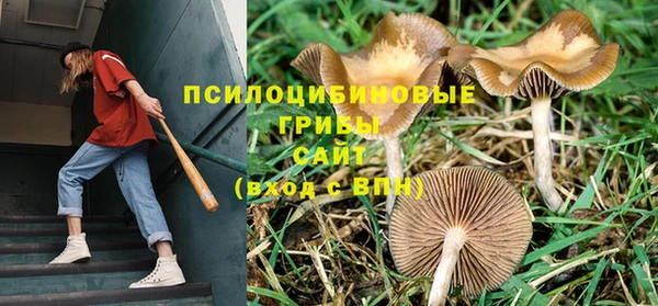 ГАЛЛЮЦИНОГЕННЫЕ ГРИБЫ Абдулино