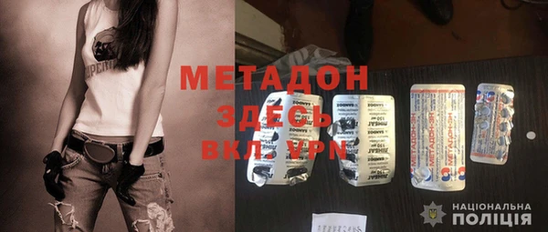 индика Алексин