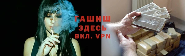 индика Алексин