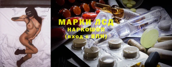индика Алексин