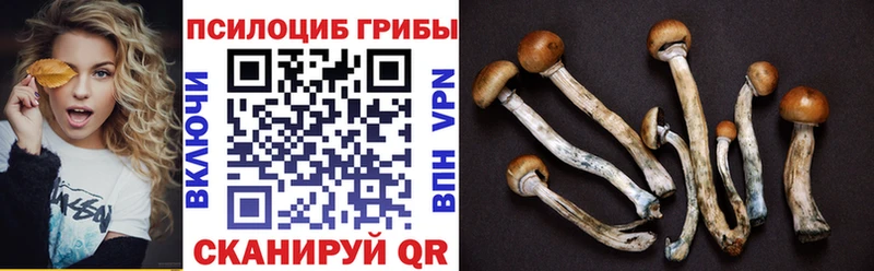 Псилоцибиновые грибы MAGIC MUSHROOMS  Сухиничи 